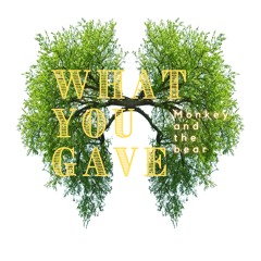 What You Gave