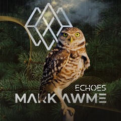Echoes (Extended)