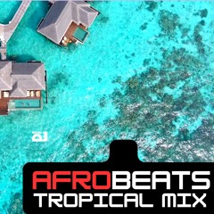 Afro Beats Tropical Mix 2024