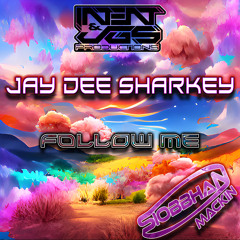 JGS, INTENT & JAY-DEE SHARKEY Feat. Siobbhan - Follow Me (Sample)