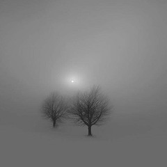 Hivernage (Texte de "K")