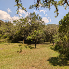 Private School Grooves Vol 1