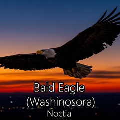 Bald Eagle (Washinosora)