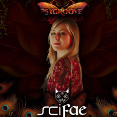 SciFae - Set PsyGroove Summer 2025