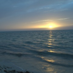 Limitless Mind