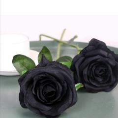 Darren Royal Black Rose