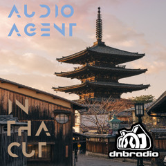 In Tha Cut 209 (DNBRadio 11-09-2025)