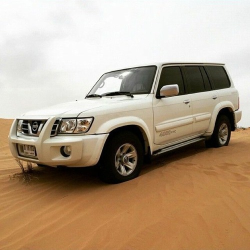 شوف الله شسوا بيهم