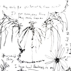 A skeleton would never lie to me