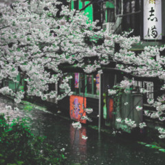 TAKE ME TO THIS PLACE