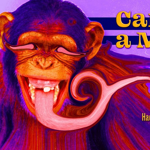 Can't Teach the Monkey night - Tribal Techno, The KLUB