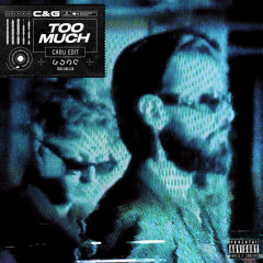 Too Much (Cabu Remix)