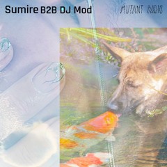 Sumire B2b DJ Mod [27.03.2024]