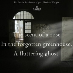 The Scent Of A Rose ( Naviarhaiku 483 )