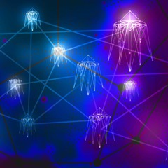 Connecting With The Venus Gatekeepers • Meditation