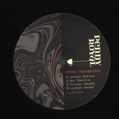 vinyl only