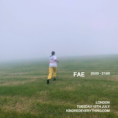 FAE 13.7.21
