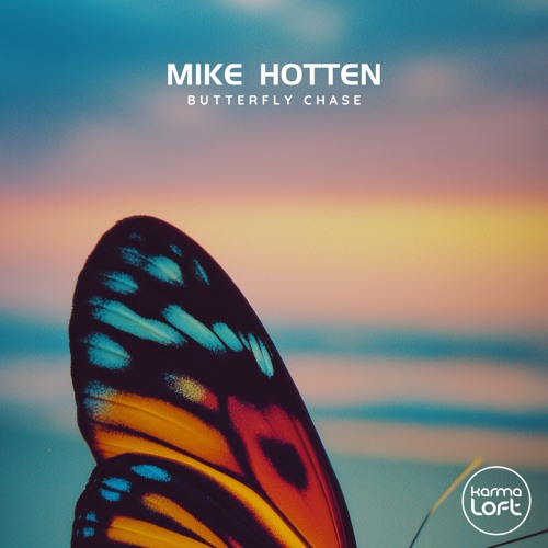 Butterfly Chase - Mike Hotten