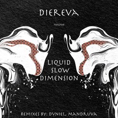 Premiere: Diereva - Dark Matter Trade (Dvniel Remix) [PBP Records ]