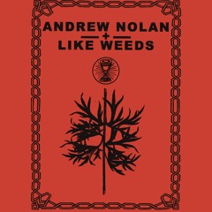 Andrew Nolan - Foxglove