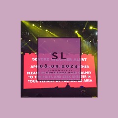 08.09.2024 (forest mix)