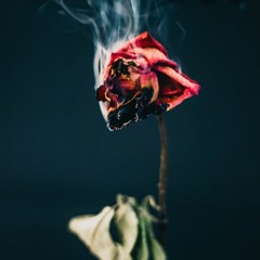 Death of a Flower(need you around)