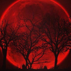 WTLucid - Blessed By The Moon prod.Cold Melody