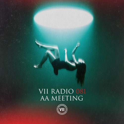 VII Radio 81 - AA Meeting