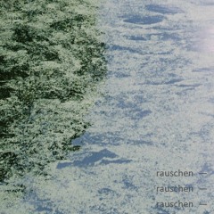 RAUSCHEN