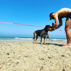 PUT YOUR HANDS UP   Introduction Set - Summer '23