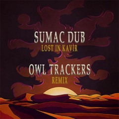 Sumac Dub - Lost In Kavir (Owl Trackers Remix)