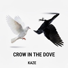 Crow in the Dove