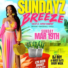 DJ ROY SUNDAY BREEZE PSL , FL 19.3.23 LIVE AUDIO [ no talking]