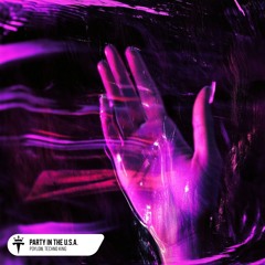 Poylow - Party In The USA
