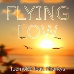 Flying Low feat. Sharkys