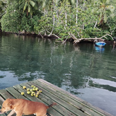 Noclès Dj (987 PF) -La vie en rose rmx 2025