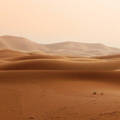 Spacious Desert