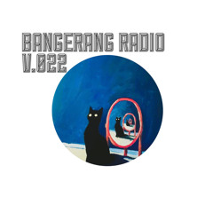 BANGERANG RADIO V.022