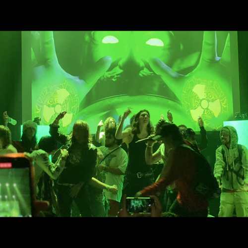 Shed Theory Archive, 2023