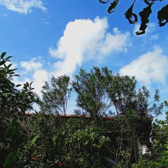 koalha & Armaggethur - fall in love