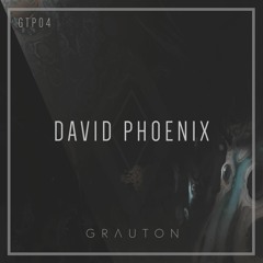 Grauton #004 | David Phoenix