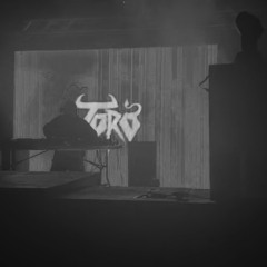 Toro River Rave Set