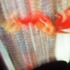 MUD JAM live session