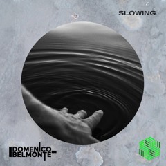 Domenico Belmonte - Slowing Out On Acid Mind Rec.