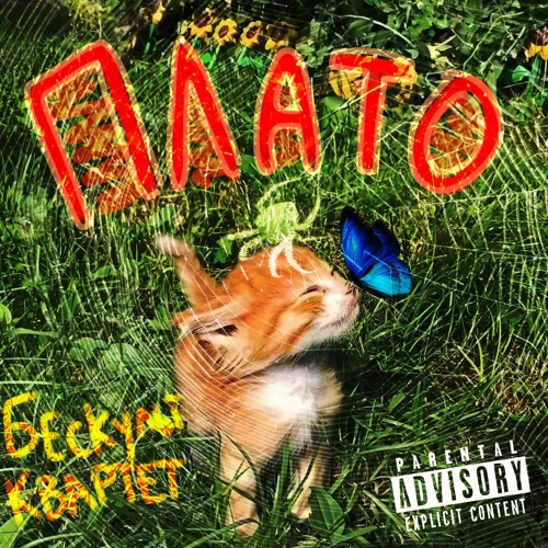далбаеб