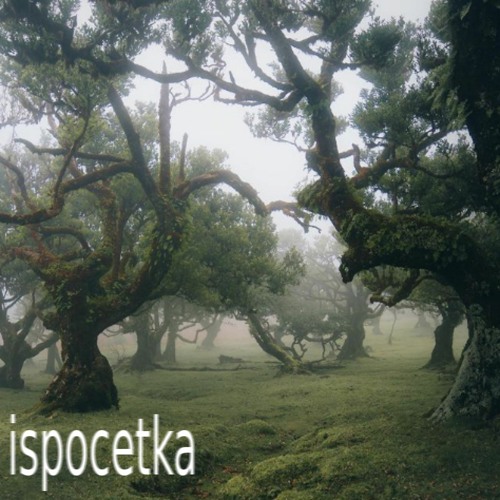 luna - ispočetka (+petar)