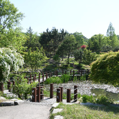 1.여주황학산수목원_새벽