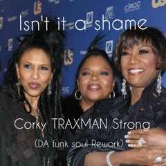 ISN'T IT A SHAME (Da funk soul rework)