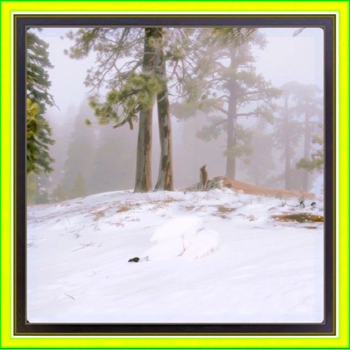 WM🐑#1142🩶🐁🐼🦨🐺🐩🐰🦤🦝🐨🐈‍⬛🐾