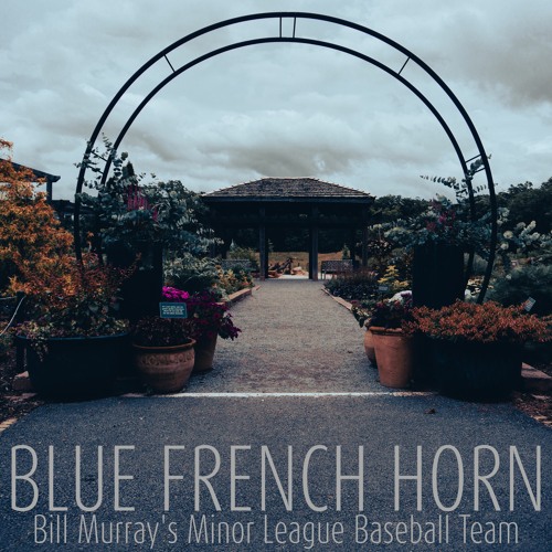 Stream Bill Murray's Minor League Baseball Team by Cick Nollis Listen